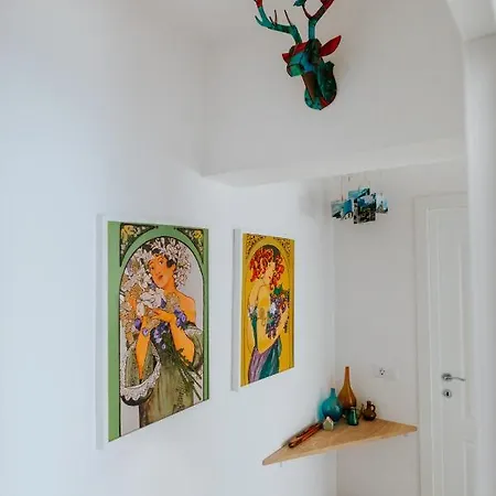 Old Citadel Hill Brașov