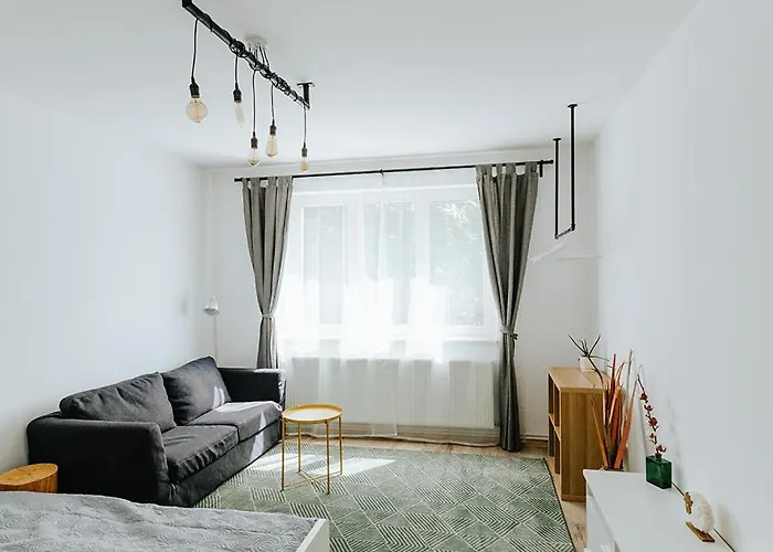 Apartment Old Citadel Hill Brasov