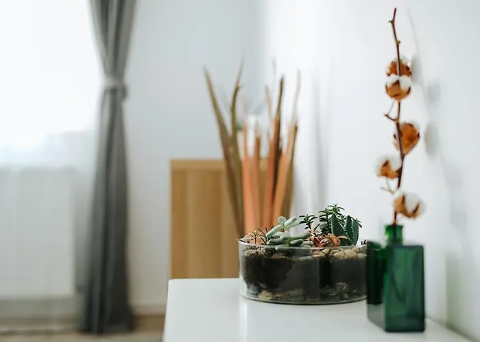 Old Citadel Hill Apartment Brasov